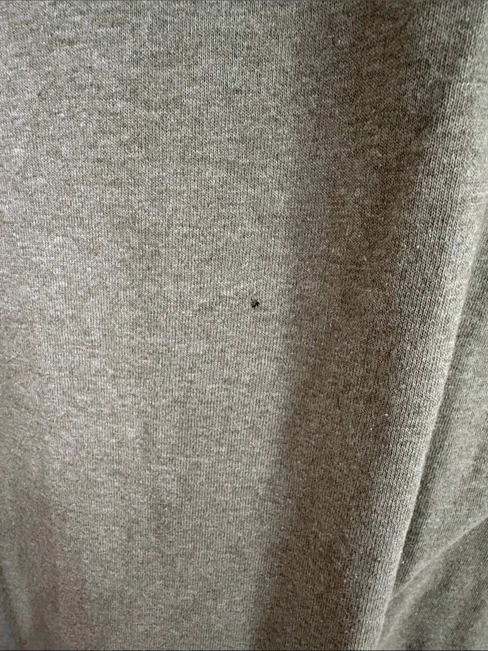 The North Face casual short